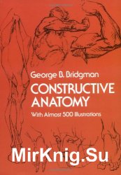 Constructive Anatomy