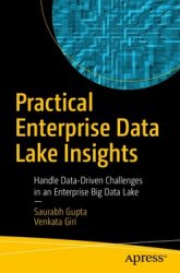 Practical Enterprise Data Lake Insights: Handle Data-Driven Challenges in an Enterprise Big Data Lake
