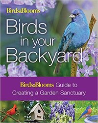 Birds & Blooms: Birds in Your Backyard