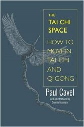 The Tai Chi Space: How to Move in Tai Chi and Qi Gong
