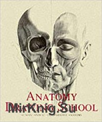 Anatomy Drawing School