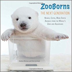 ZooBorns The Next Generation