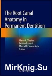 The Root Canal Anatomy in Permanent Dentition