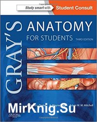 Gray's Anatomy for Students, Third Edition (+ Flash Cards)