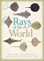 Rays of the World