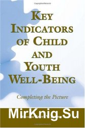 Key Indicators of Child and Youth Well-Being: Completing the Picture