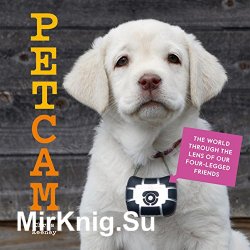 PetCam: The World Through the Lens of Our Four-Legged Friends