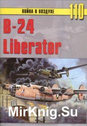 B-24 Liberator (   110)