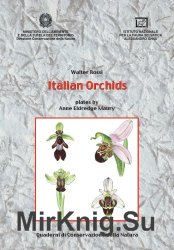 Italian Orchids