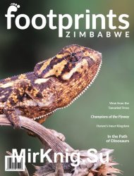 Footprints Zimbabwe Issue 3 2018