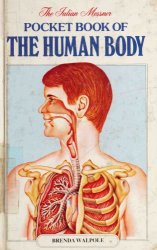 Pocket book of the human body
