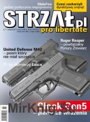 Strzal 2017-11 (12)