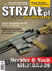 Strzal 2017-12 (13)