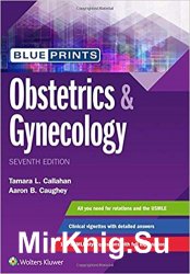 Blueprints Obstetrics & Gynecology