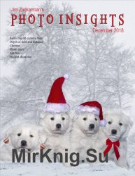 Photo Insights Issue 12 2018