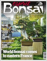 Esprit Bonsai International - Issue 97