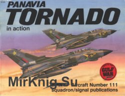 Panavia Tornado (Squadron Signal 1111)