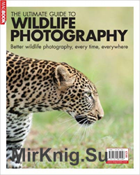 The Ultimate Guide to Wildlife Photography