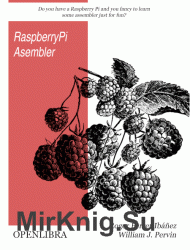 Raspberry Pi Assembler