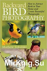 Backyard Bird Photography: How to Attract Birds to Your Home and Create Beautiful Photographs