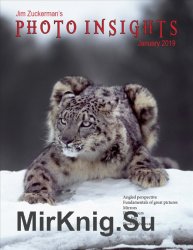 Photo Insights Issue 1 2019