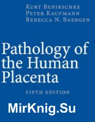 Pathology of the human placenta