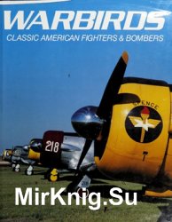 Warbirds: Classic American Fighters & Bombers