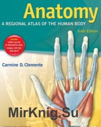 Anatomy: A Regional Atlas of the Human Body