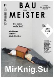 Baumeister - Januar 2019