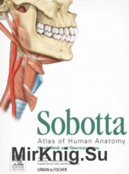 Sobotta: Atlas of Human Anatomy. 3  (2011)