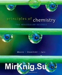 Principles of Chemistry: The Molecular Science