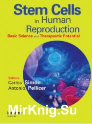 Stem Cells in Human Reproduction