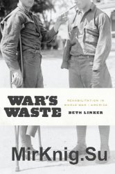 Wars Waste: Rehabilitation in World War I America