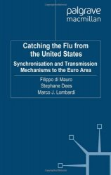 Catching the Flu from the United States: Synchronisation and Transmission Mechanisms to the Euro Area