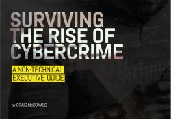Surviving the Rise of Cybercrime : A Non-Technical Executive Guide