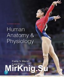 Human Anatomy & Physiology, Eleventh Edition