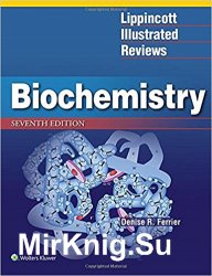 Lippincott Illustrated Reviews: Biochemistry, Seventh Edition