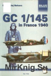 GC 1/145 in France 1940 (Mushroom Blue Series 7102)