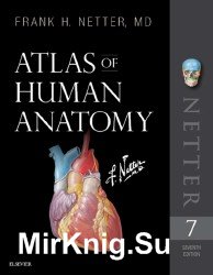 Atlas of Human Anatomy Edition: 7