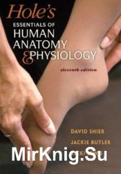 Holes Essentials of Human Anatomy and Physiology (11th ed.) (2012)