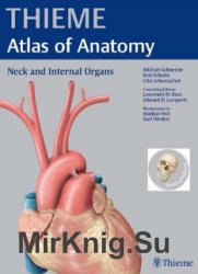 Thieme Atlas of Anatomy. Neck and Internal Organs