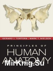 Principles of Human Anatomy (12th ed.)