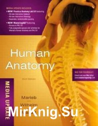 Human Anatomy, 6 ed.