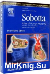 Sobotta - Atlas of Human Anatomy - Head, Neck, Upper Limb, Thorax, Abdomen, Pelvis, Lower Limb (14th Edition). 2 