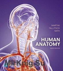 Human Anatomy. Edition: 9