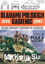 Pulk 6 Pancerny (Sladami Polskich Gasienic Tom 6)