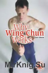 Why Wing Chun Works