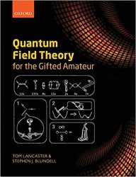 Quantum Field Theory for the Gifted Amateur