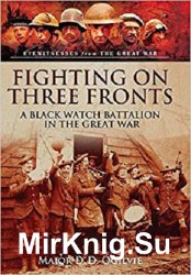 Fighting on Three Fronts: A Black Watch Battalion in the Great War (Eyewitnesses from the Great War)