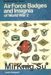 Air Force Badges and Insignia of World War 2